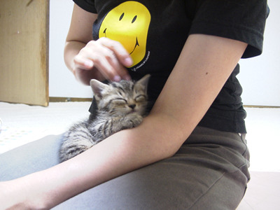 ǂȂEEE