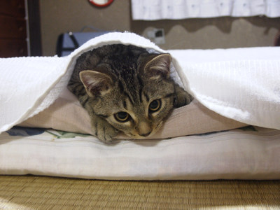 邪